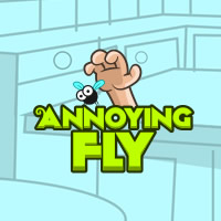 Annoying Fly