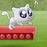 Extreme Kitten || 89307x played